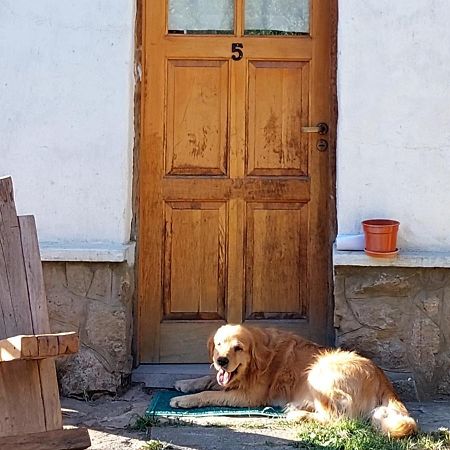Buena Onda I Villa San Martín de los Andes Exterior foto