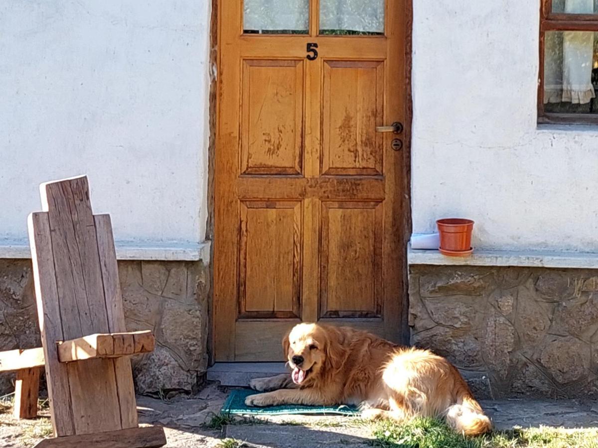 Buena Onda I Villa San Martín de los Andes Exterior foto